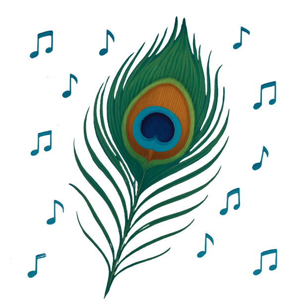 Peacock Feather